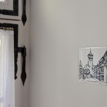 Ferienwohnung In Rheinfelder Altstadt 莱茵费尔德 外观 照片